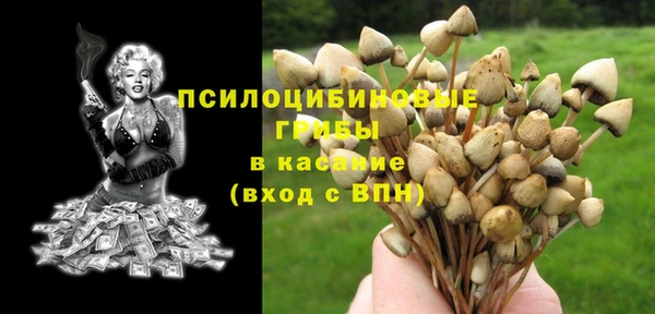 сатива Верхнеуральск