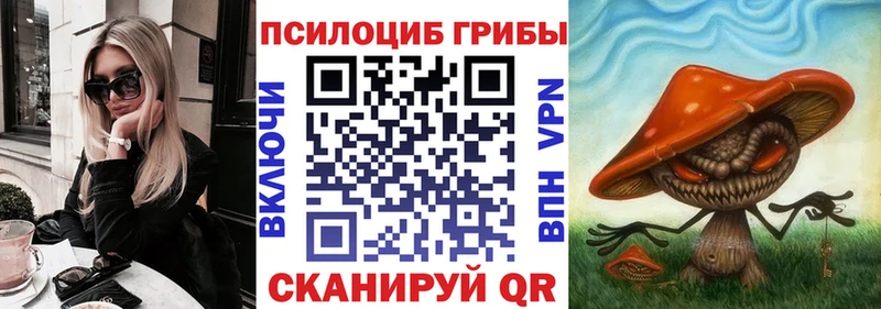 Псилоцибиновые грибы мухоморы  наркошоп  Дальнереченск 